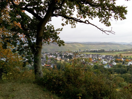Herbstliche Aussicht auf Noviand