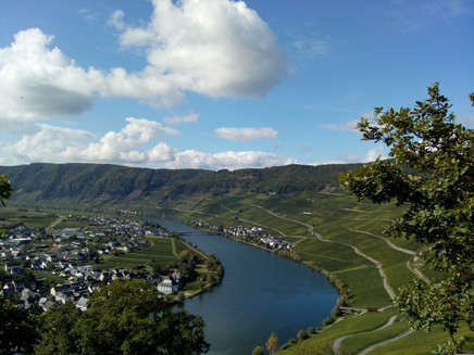 Blick vom Donatus auf die Piesporter Moselschleife