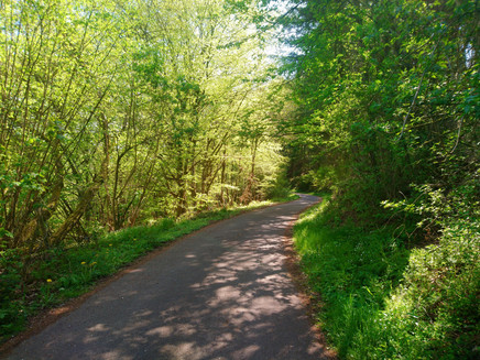Salmradweg