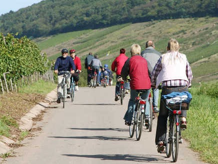 Radgruppen auf dem Salmradweg