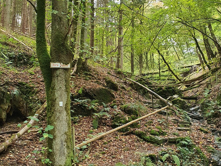 T 3 - Moselle mountain romanticism. Photo 1