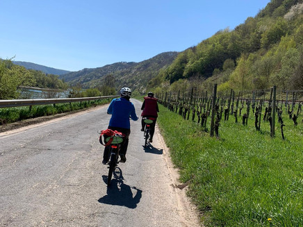 auf dem Weg zwischen Reil und Kövenig