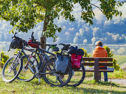 Moselradweg im Zeller Land