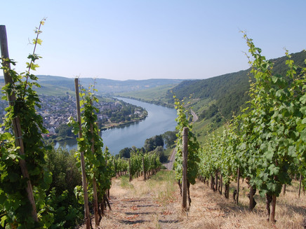 View of Neumagen Dhron