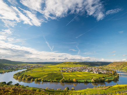 Mosel view near Leiwen