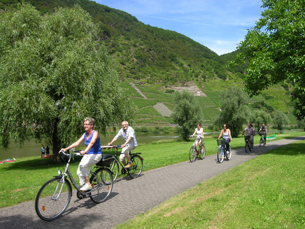 Unterwegs auf dem Moselradweg bei Cochem