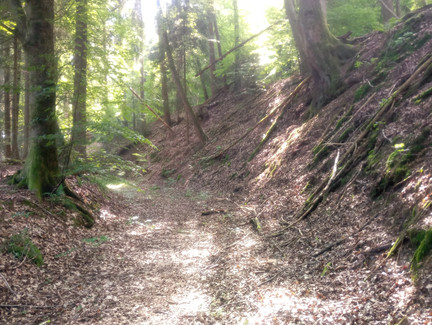 Hohlweg Richtung Mönchröden