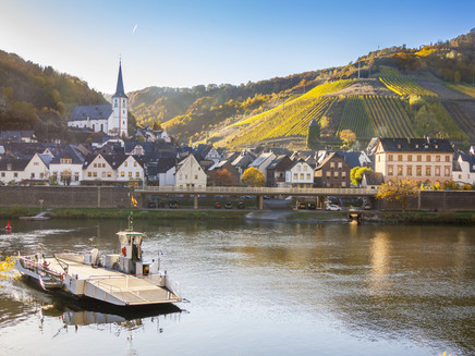 Blick auf den Weinort Briedel