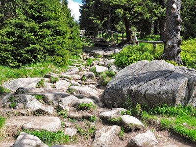 Eckerlochstieg to the Brocken