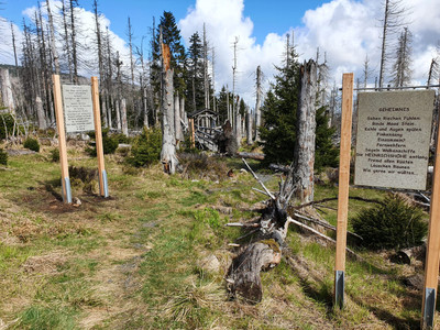 Primeval Forest Trail Stations at the Brocken