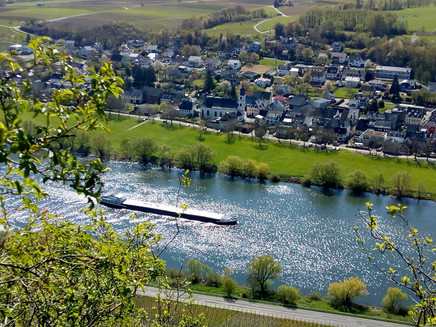 Brauneberg vom Jufferweg