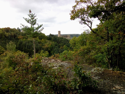 Aussicht zur Burg Landshut