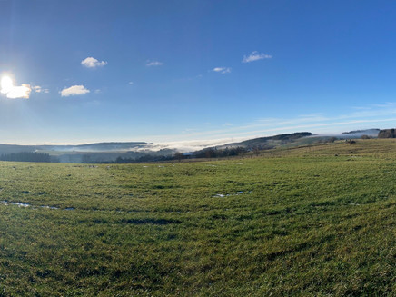 Weitsicht bei Lorscheid