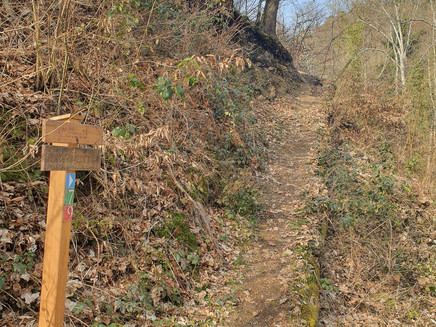 Aufgang Vorderwaldsteig