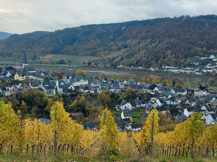 Panorama Enkirch Herbst