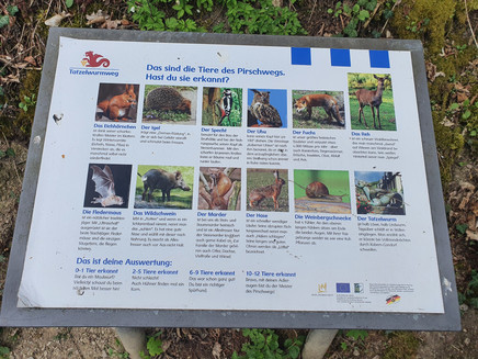 Discover animals on the game trail