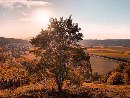 Blick auf Kenner Flur