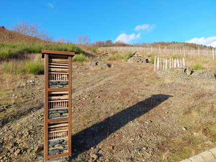 Insect hotels as habitat aids