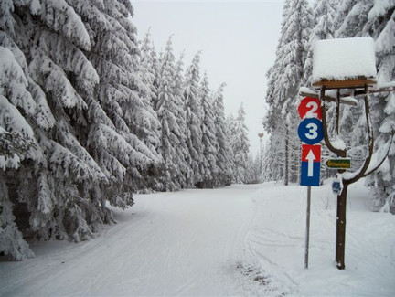 Wanderweg durch den Fichtenwald mit Blick zum "Mond"