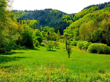 Im Baybachtal
