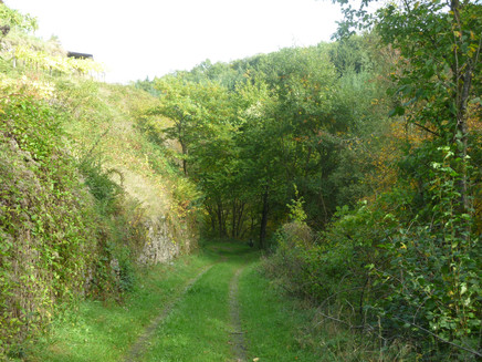 Burgerbachtal