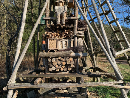 Lebensturm