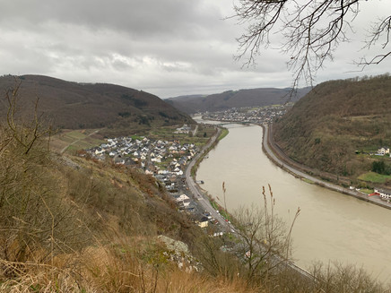 Moselblick