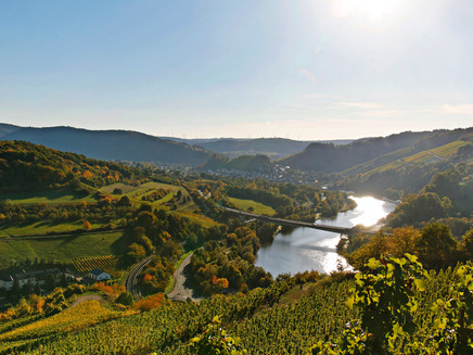Saar-Radweg bei Ockfen