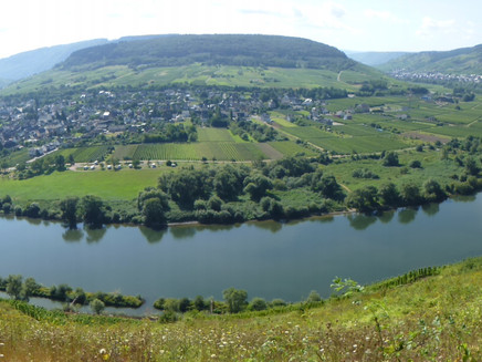 Moselschleife bei Pünderich