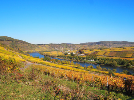 Blick Richtung Pünderich