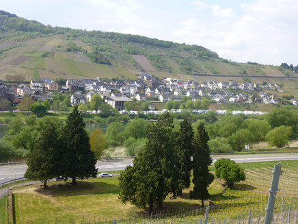 Wohnmobilstellplatz Reil