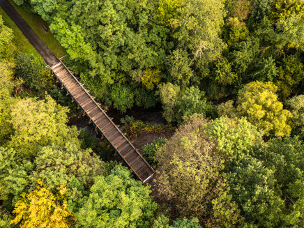 Ruwer-Hochwald-cycle route 3