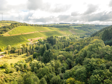 Ruwer-Hochwald-Route 5