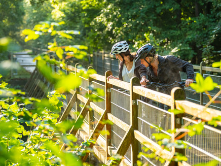 Ruwer-Hochwald Cycle Route 2