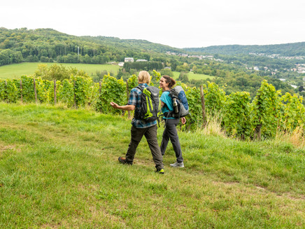 Hiking on the Moselsteig near Perl