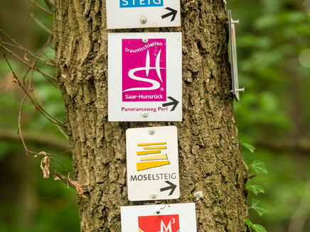 Signposts for Moselsteig, Panoramaweg Perl, Moselle Trail and Saar-Hunsrück Steig