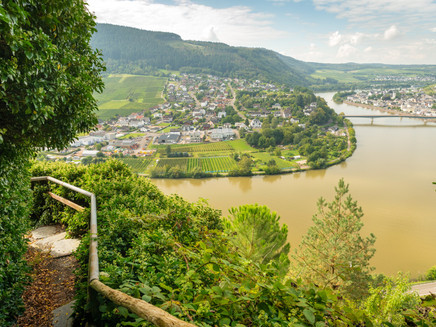 View from the Moselsteig on Mehring