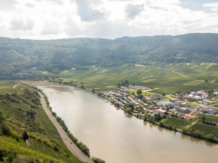 The Mosel at Mehring