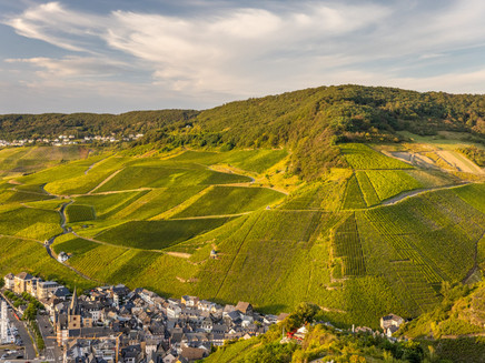 Blick auf die Weinberge bei Bernkastel-Kues