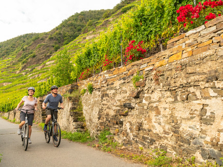 Mosel-Radweg bei Winningen