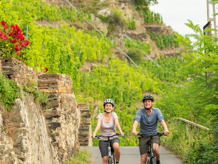 Mosel-Radweg bei Winningen 2