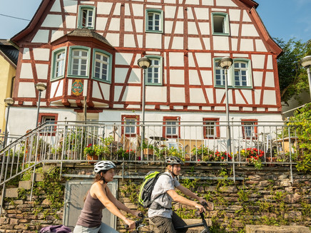 Auf dem Mosel-Radweg bei Senheim-Senhals