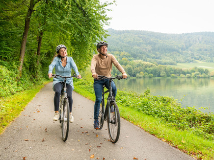 Auf dem Mosel-Radweg zwischen Mehring und Detzem