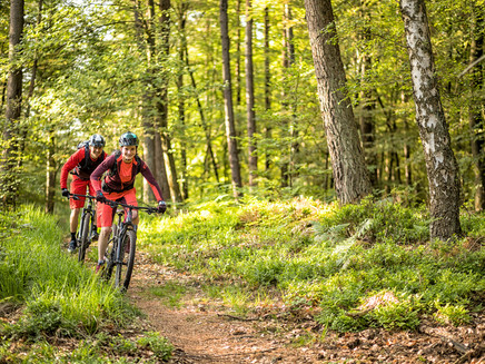Mountainbiker im Wald