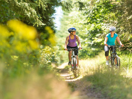 Mountainbiker im Wald