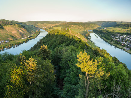 Ausblick vom Prinzenkopfturm bei Pünderich