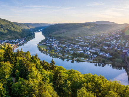 Ausblick vom Prinzenkopfturm auf Alf und Bullay