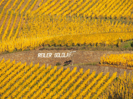 Weinbergslage Reiler Goldlay