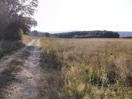 On the way on the Pissamann circular route