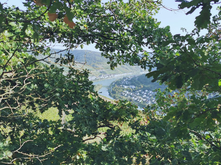 Pissamann circular route Zell-Merl with a view of the district of Kaimt
